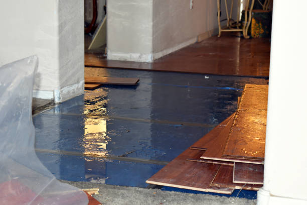 Professional Water Extraction technician working in Russell, IL